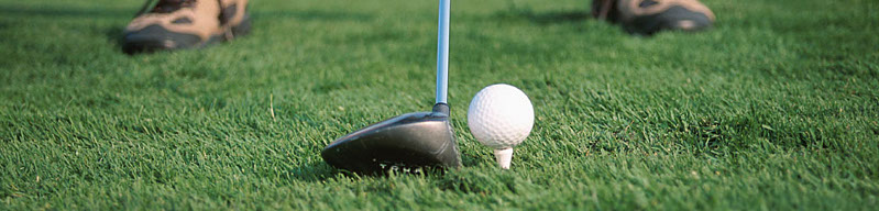 Left Sidebar Page Type Image